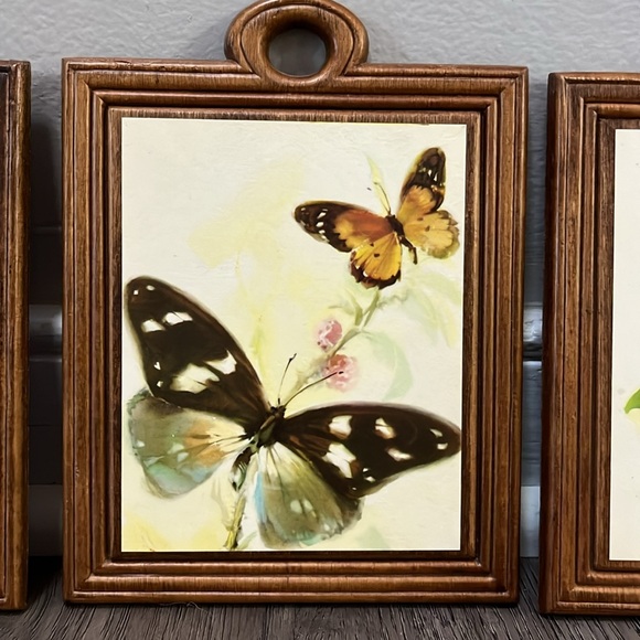 3 Charming Vintage Arthur A. Kaplan Butterflies on Wood prints - Picture 15 of 16